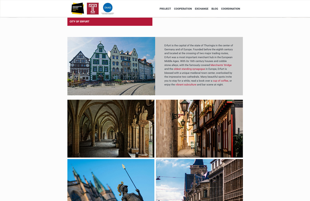 Webdesign & Webentwicklung für Bildungseinrichtungen und Universitäten - shinyCube - Hamburg